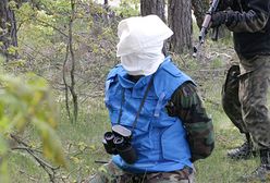 Klękają nad dołem w lesie