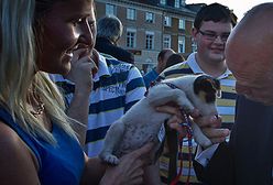 Kandydat z muchą w Warszawie