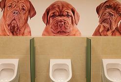 Toaleta na Dworcu Centralnym