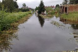 Skutki nawałnic