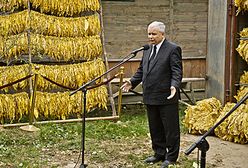 Kampania z tytoniem w tle