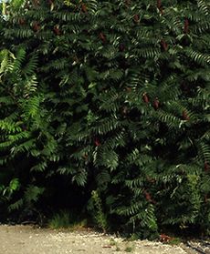 Polskie drogi i pobocza