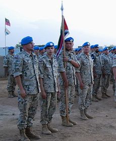 Święto Wojsk Lądowych w Czadzie