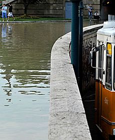 Deszcze i upał na przemian