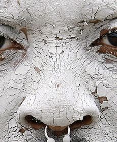 Festiwal Błota w Korei