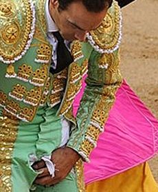 Byk "załatwił" matadora