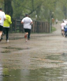 Biegali po warszawskim zoo, za nimi tygrysica