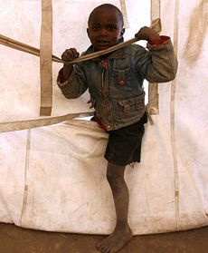 Światowy Dzień Uchodźcy