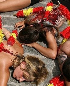 Nie wszyscy kochają Corridę