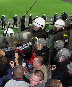 Pseudokibice kontra policjanci