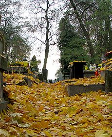 Cmentarne reminiscencje