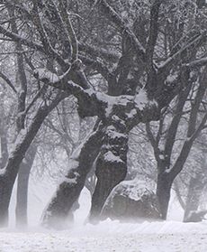 Europa zasypana - te zdjęcia robią wrażenie!