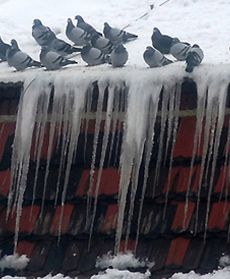 Lodowe strzały śmierci