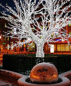 Świąteczny Wrocław