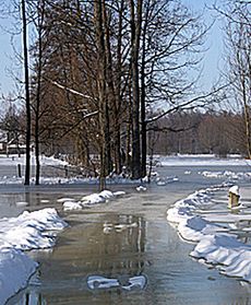 Woda zalewa Mościce Dolne