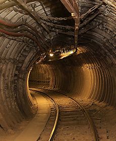 Czarny diament Lubelszczyzny