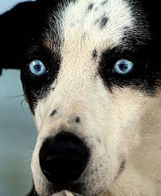 To zdarzyło się w Polsce!