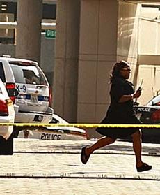 Szeleniec w telewizji