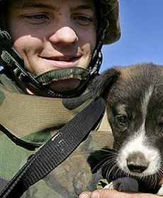 Skruszyły serca wojskowych