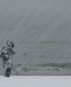 W futrze na plażę?