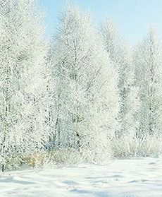 Spadnie więcej śniegu