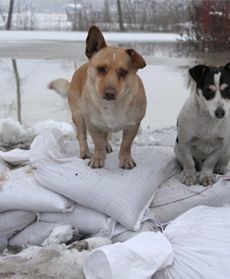 Podtopienia w Wielkopolsce