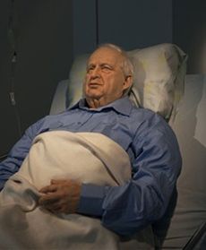 Rzeźba Ariela Szarona