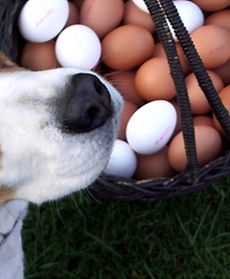 Malowane, wyklejane, owijane