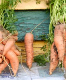 Warzywa o seksownych kształtach