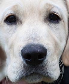 Jak minął tydzień w Polsce