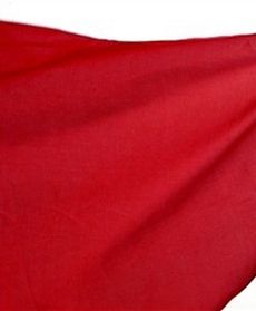 Stalin zniknął z centrum Gori