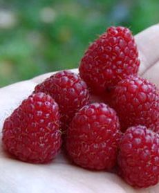 Wakacje tuż, tuż...