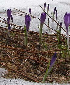 Wszyscy na nią czekali z niecierpliwością
