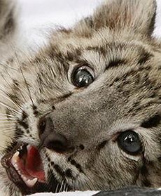 To zdarzyło się w Polsce!