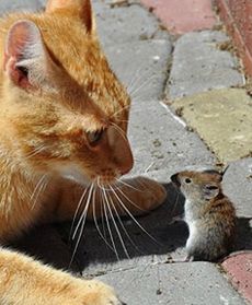 Zdjęcia października