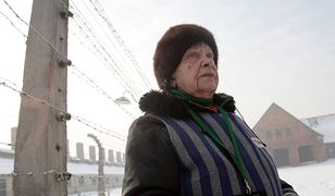 Obchody 65. rocznicy wyzwolenia