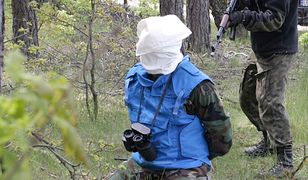 Klękają nad dołem w lesie