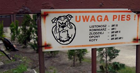 Strzeż się psa!