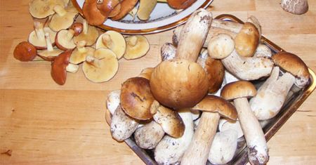 Jesień zbliża się wielkimi krokami