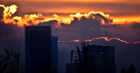 Zdjęcia tygodnia