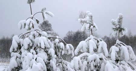 Zima nie ustępuje