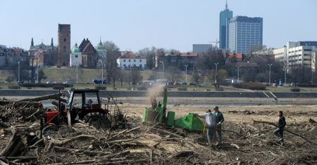 Tu na razie jest ściernisko...