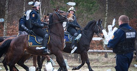 Konni strażnicy