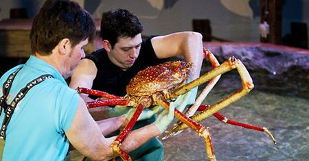 Crabzilla