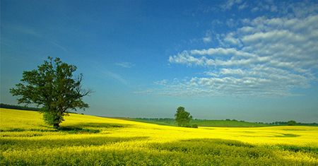 Burze i upały