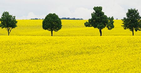 Europa szykuje się na "tropiki"