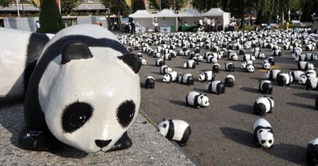 50. rocznica powstania WWF