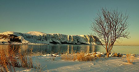 Śnieg, mróz i zamiecie