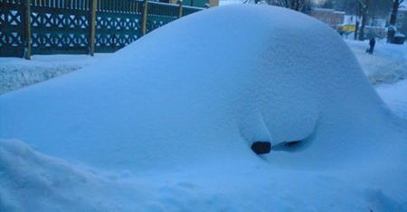 Zgadnij, co jest pod śniegiem