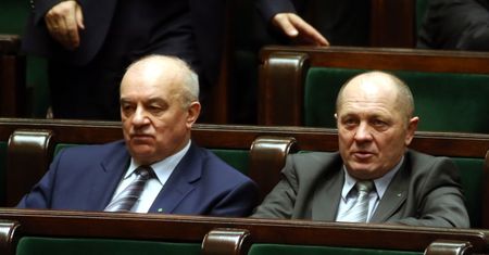 Afrykański pomór świń w Polsce. Minister o skupie mięsa